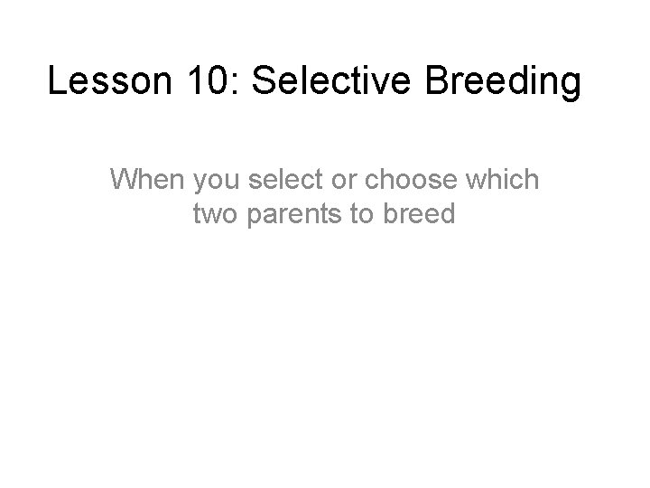 Lesson 10: Selective Breeding When you select or choose which two parents to breed