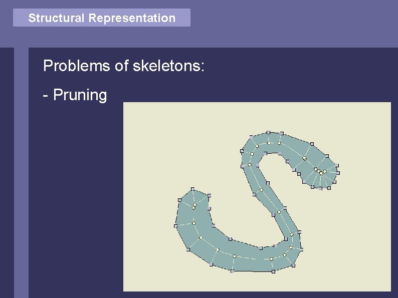 Structural Vector Comparison Representation Problems of skeletons: - Pruning 