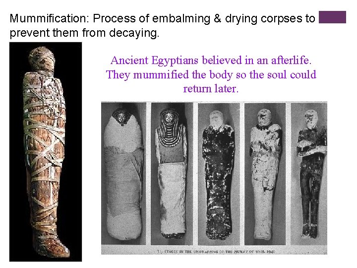 Mummification: Process of embalming & drying corpses to prevent them from decaying. Ancient Egyptians