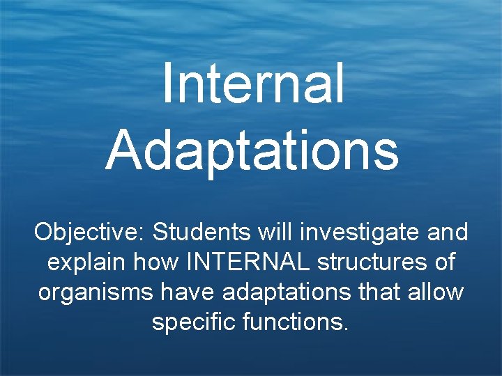 Internal Adaptations Objective: Students will investigate and explain how INTERNAL structures of organisms have