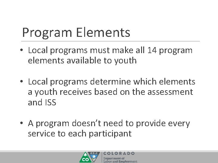 Program Elements • Local programs must make all 14 program elements available to youth