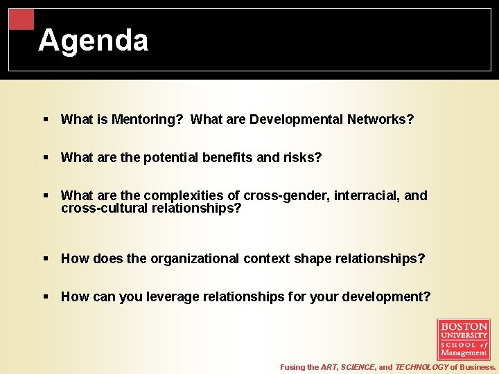 Agenda § What is Mentoring? What are Developmental Networks? § What are the potential