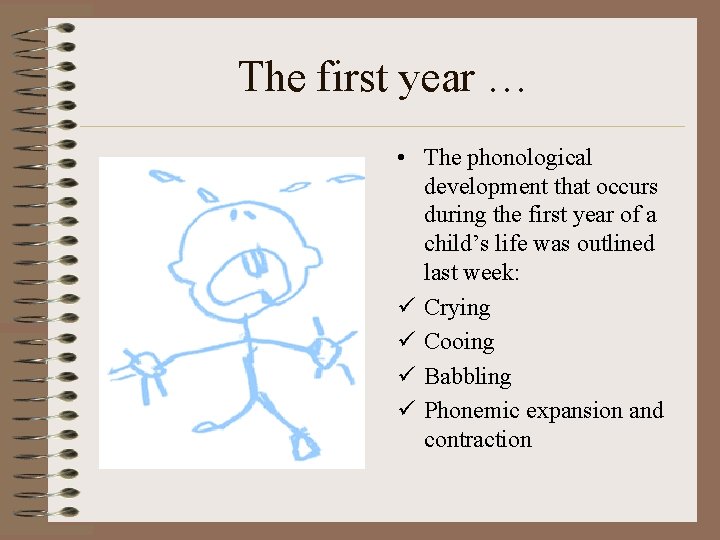 The first year … • The phonological development that occurs during the first year