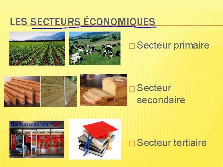 LES SECTEURS ÉCONOMIQUES � Secteur primaire � Secteur secondaire � Secteur tertiaire 