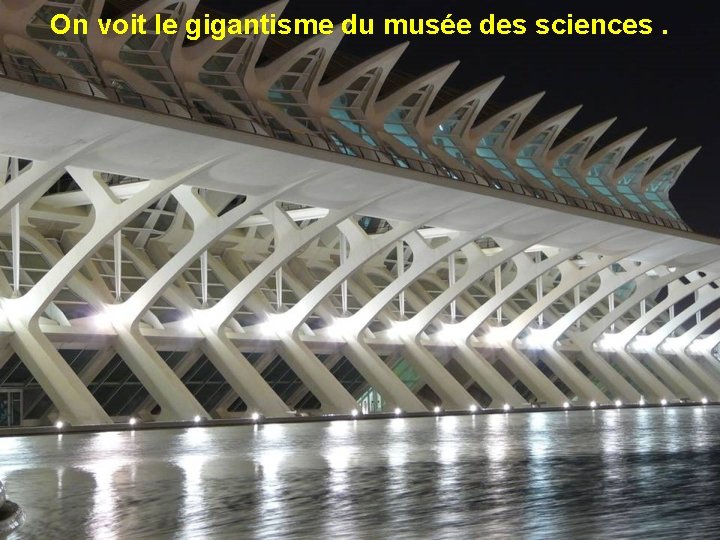 On voit le gigantisme du musée des sciences. 