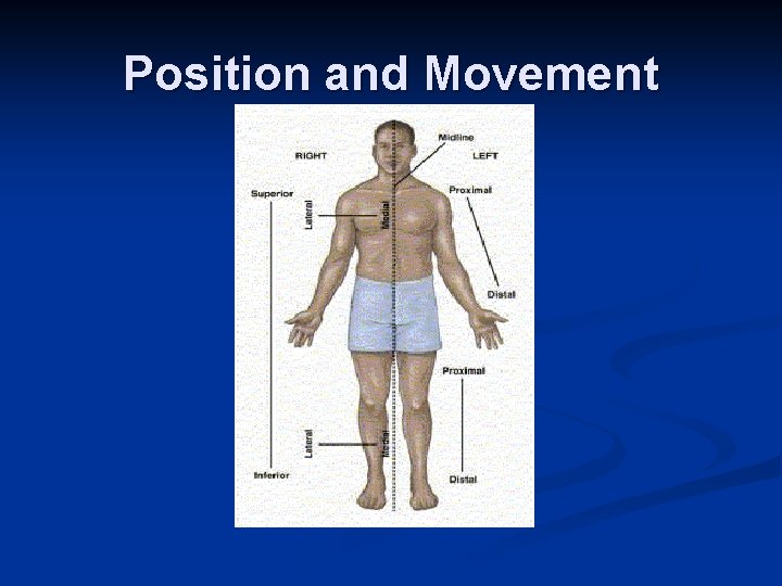 Exercise Science PSE 4 U 0 Strand A