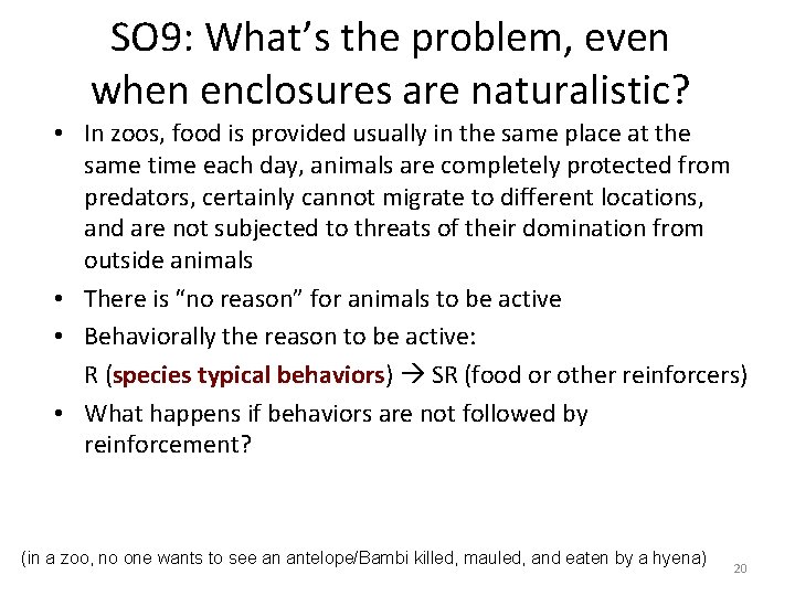 SO 9: What’s the problem, even when enclosures are naturalistic? • In zoos, food