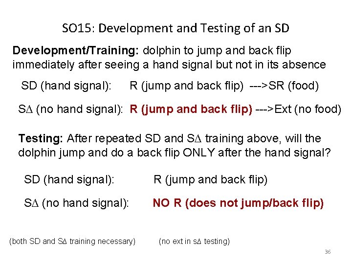 SO 15: Development and Testing of an SD Development/Training: dolphin to jump and back