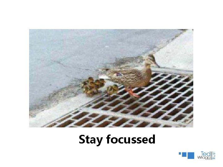 Stay focussed Stay focussed
