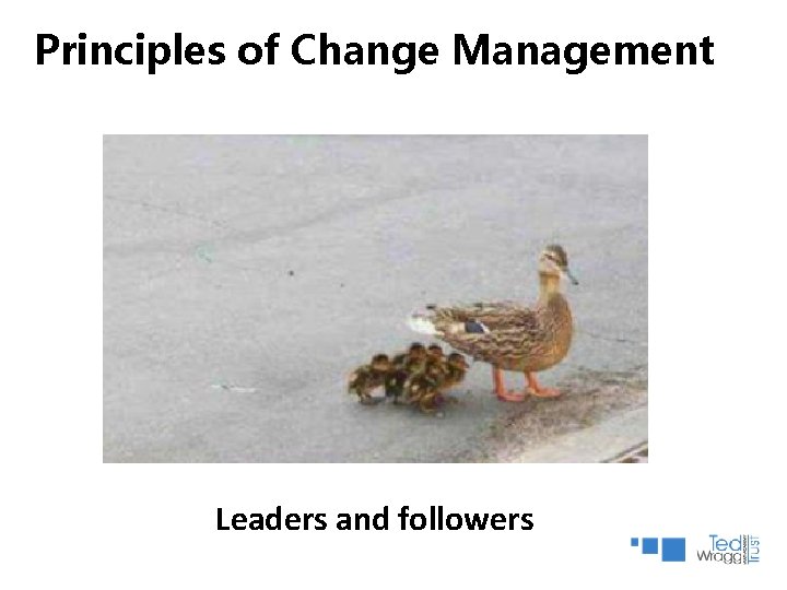 Principles of Change Management Leaders and followers Principles of Change Management Leaders and followers