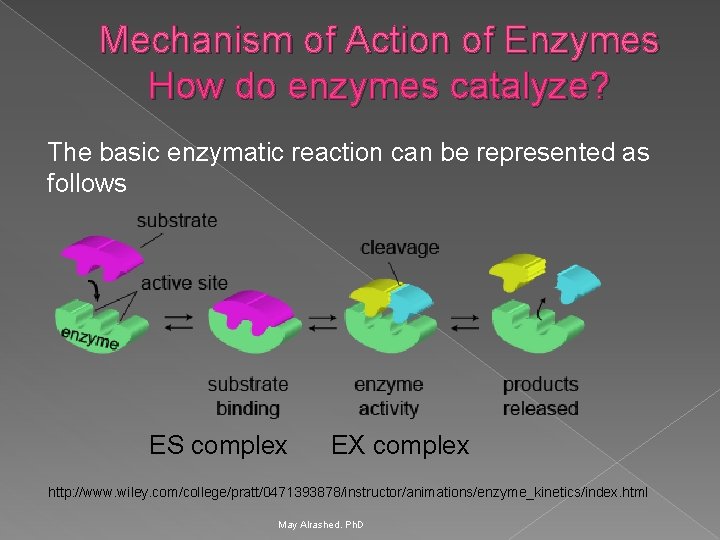 Mechanism of Action of Enzymes How do enzymes catalyze? The basic enzymatic reaction can