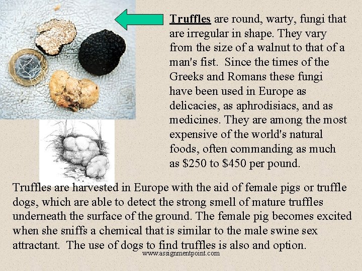 Truffles are round, warty, fungi that are irregular in shape. They vary from the