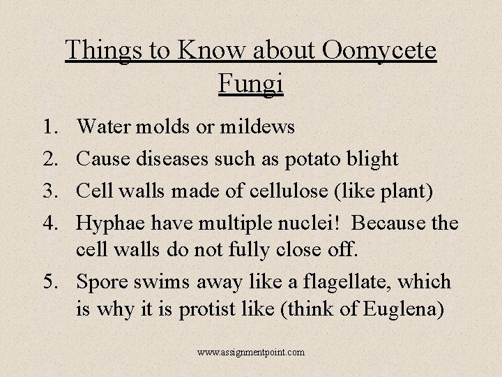 Things to Know about Oomycete Fungi 1. 2. 3. 4. Water molds or mildews