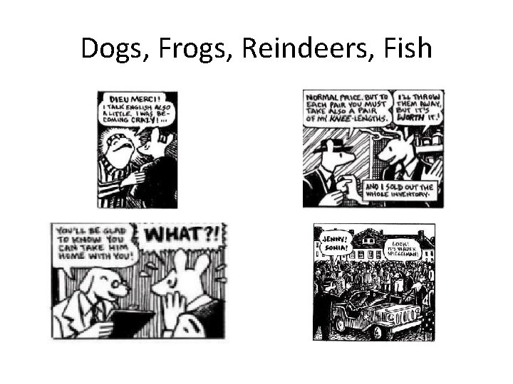 Dogs, Frogs, Reindeers, Fish 