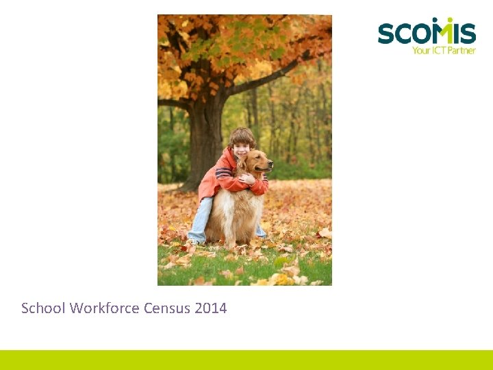 School Workforce Census 2014 