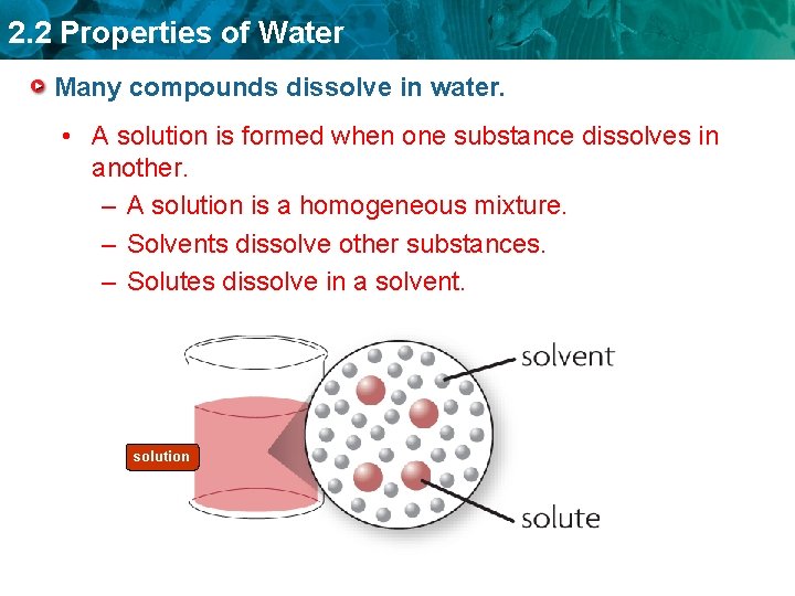2. 2 Properties of Water Many compounds dissolve in water. • A solution is