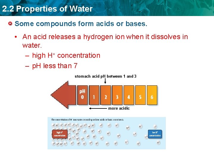 2. 2 Properties of Water Some compounds form acids or bases. • An acid