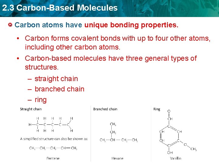 2. 3 Carbon-Based Molecules Carbon atoms have unique bonding properties. • Carbon forms covalent