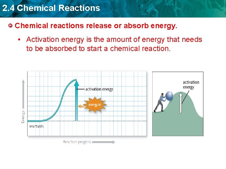 2. 4 Chemical Reactions Chemical reactions release or absorb energy. • Activation energy is