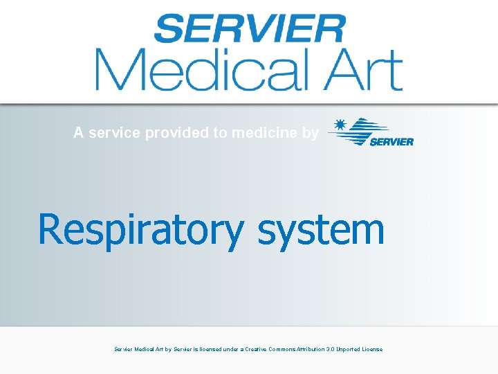 A service provided to medicine by Respiratory system Servier Medical Art by Servier is