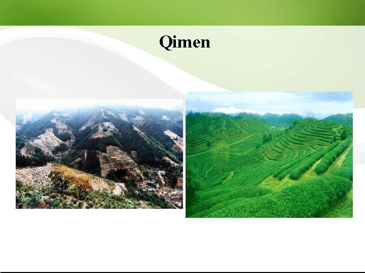  Qimen 
