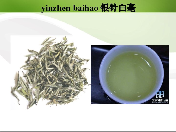 yinzhen baihao 银针白毫 