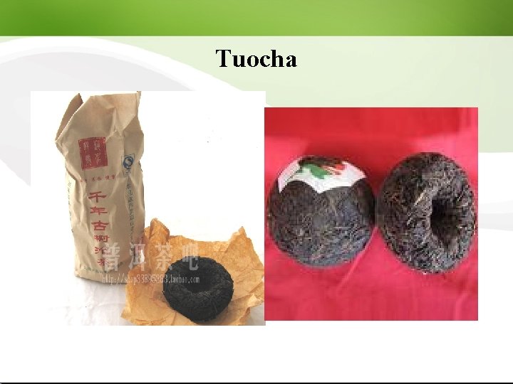 Tuocha 