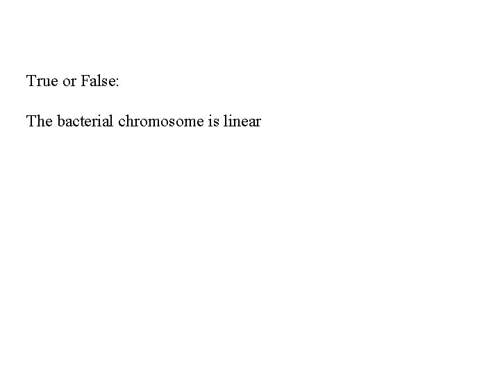 True or False: The bacterial chromosome is linear 