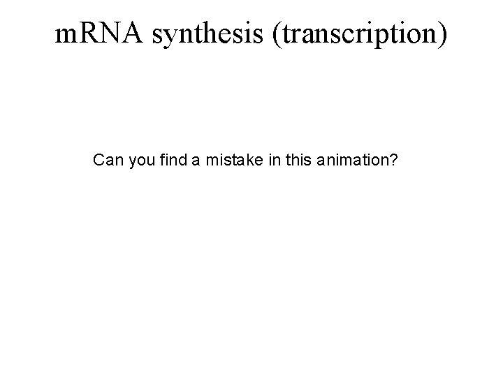 m. RNA synthesis (transcription) Can you find a mistake in this animation? 