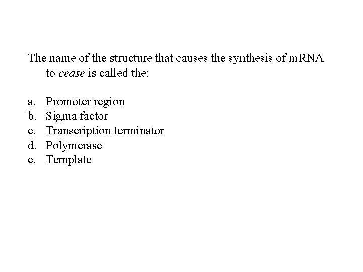 The name of the structure that causes the synthesis of m. RNA to cease