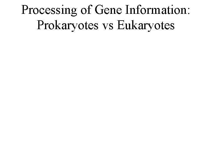 Processing of Gene Information: Prokaryotes vs Eukaryotes 