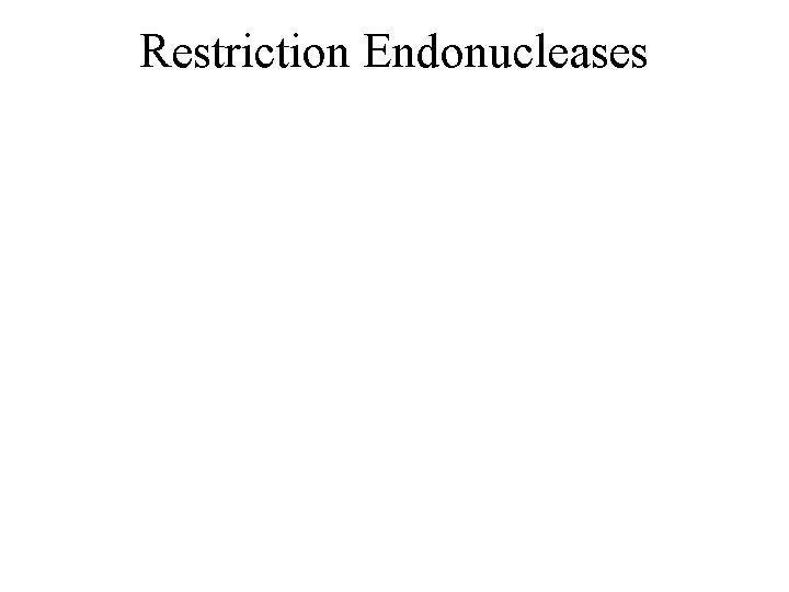 Restriction Endonucleases 