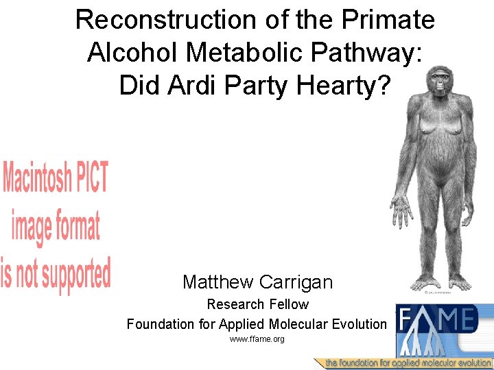 Reconstruction of the Primate Alcohol Metabolic Pathway: Did Ardi Party Hearty? Matthew Carrigan Research