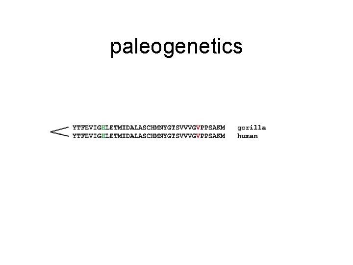 paleogenetics 