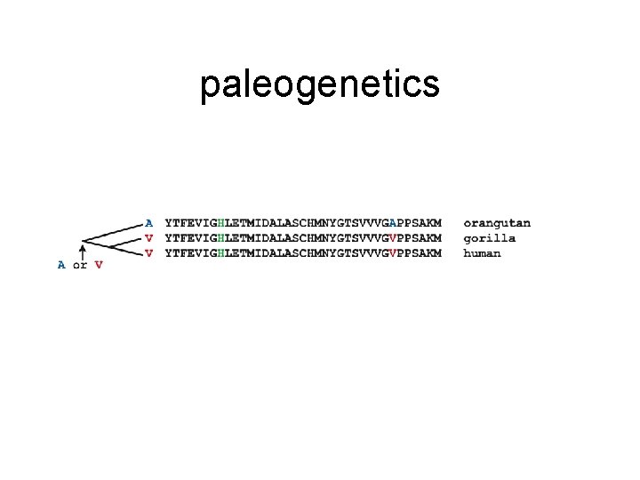 paleogenetics 