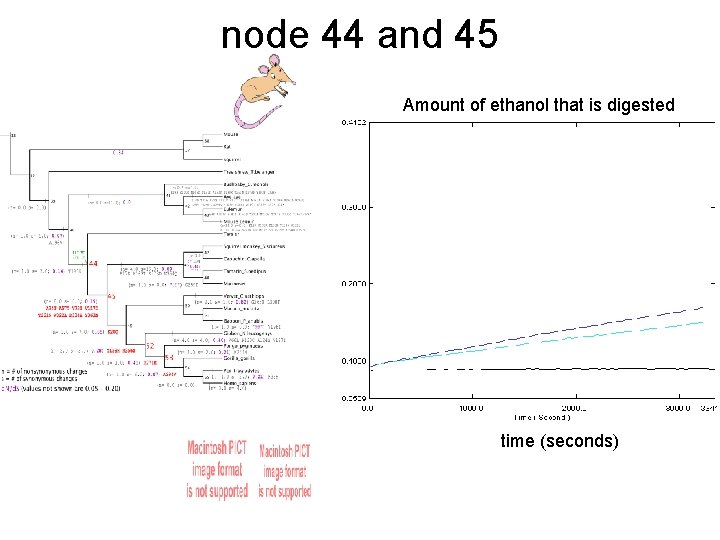 node 44 and 45 Amount of ethanol that is digested time (seconds) 