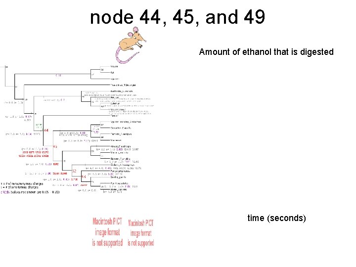 node 44, 45, and 49 Amount of ethanol that is digested time (seconds) 