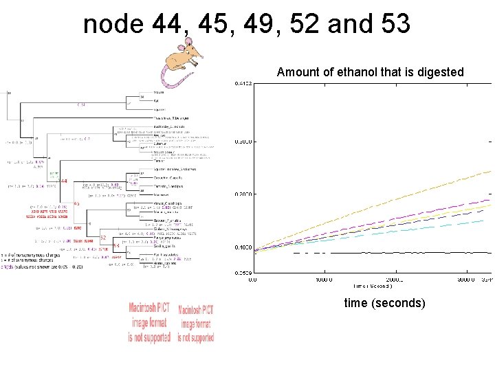 node 44, 45, 49, 52 and 53 Amount of ethanol that is digested time