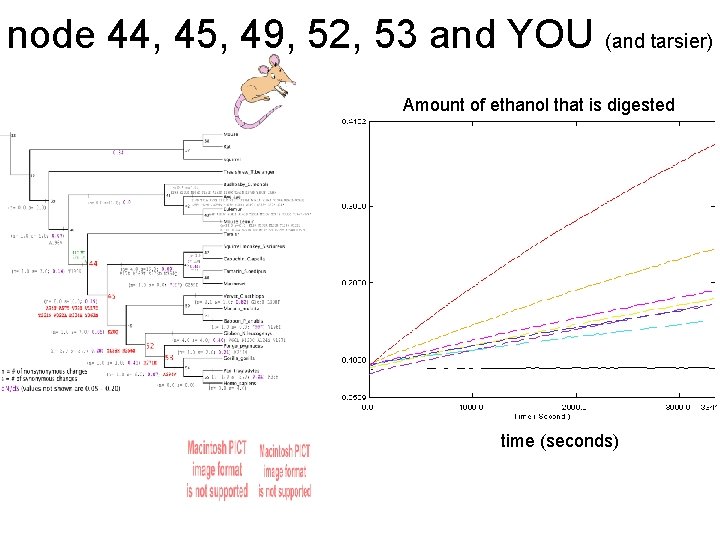 node 44, 45, 49, 52, 53 and YOU (and tarsier) Amount of ethanol that