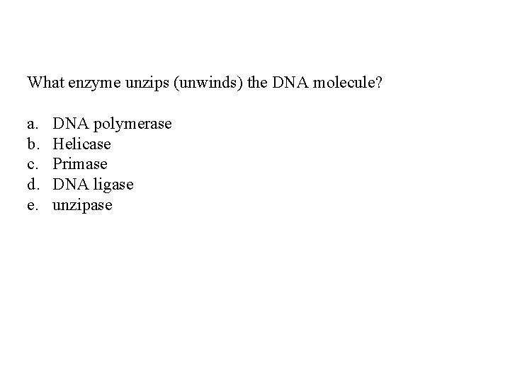 What enzyme unzips (unwinds) the DNA molecule? a. b. c. d. e. DNA polymerase