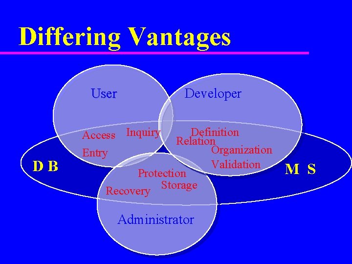 Differing Vantages User DB Developer Access Inquiry Entry Definition Relation Organization Validation Protection Recovery