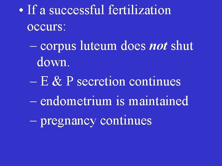  • If a successful fertilization occurs: – corpus luteum does not shut down.