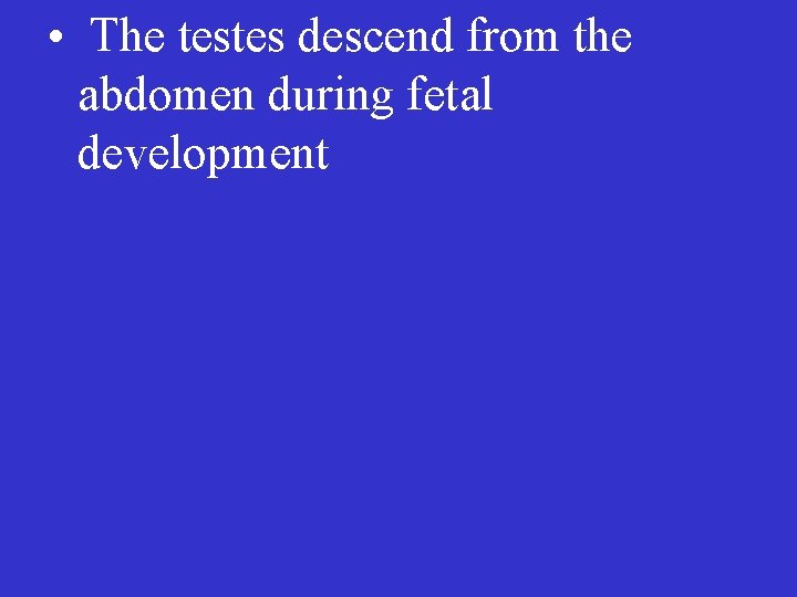  • The testes descend from the abdomen during fetal development 