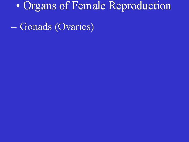  • Organs of Female Reproduction – Gonads (Ovaries) 