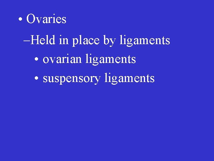  • Ovaries –Held in place by ligaments • ovarian ligaments • suspensory ligaments