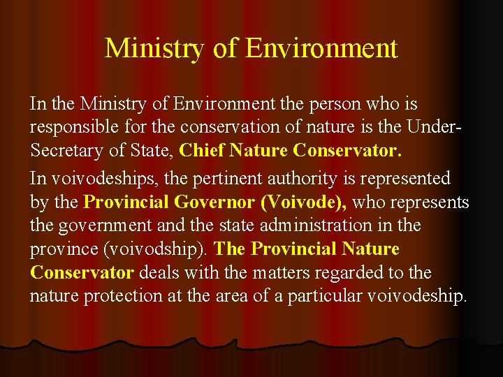 Ministry of Environment In the Ministry of Environment the person who is responsible for