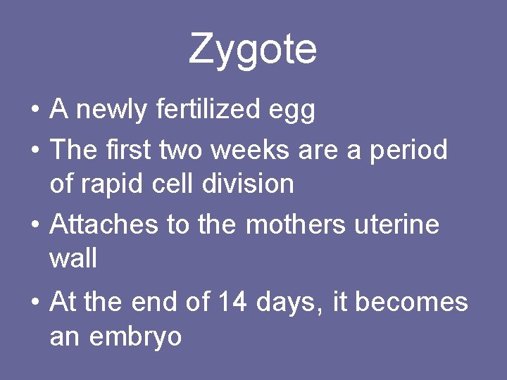 Zygote • A newly fertilized egg • The first two weeks are a period