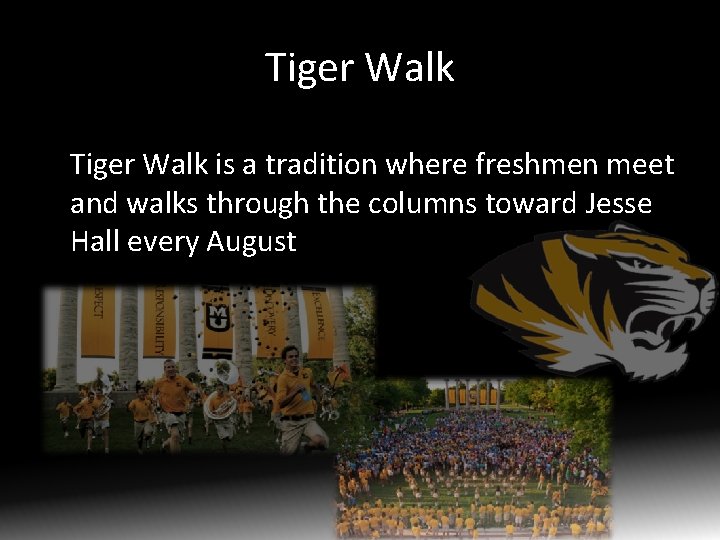 Tiger Walk is a tradition where freshmen meet and walks through the columns toward