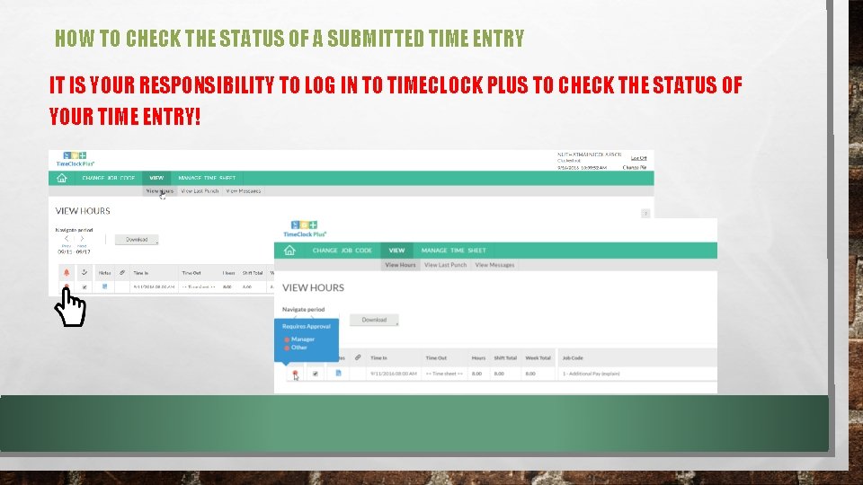 HOW TO CHECK THE STATUS OF A SUBMITTED TIME ENTRY IT IS YOUR RESPONSIBILITY