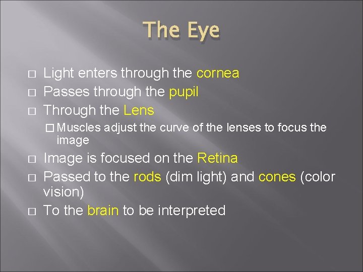 The Eye � � � Light enters through the cornea Passes through the pupil